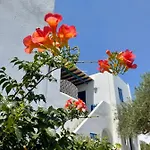 Gelly's Αλυκή