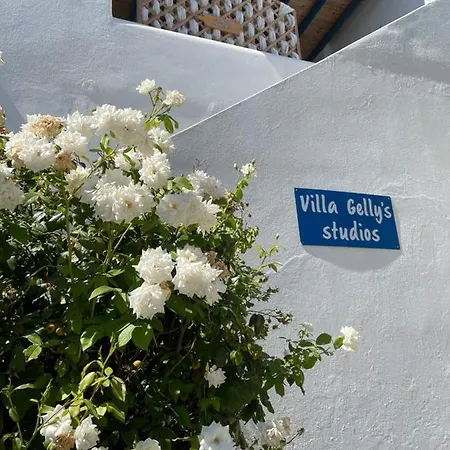 Gelly's Αλυκή