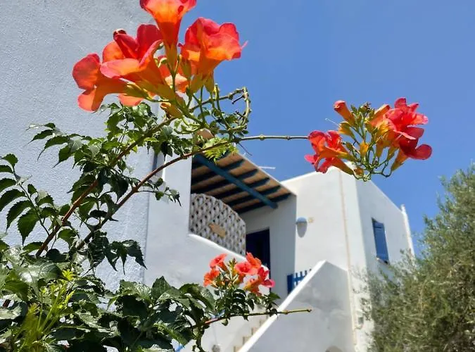 Gelly's Aliki (Paros)